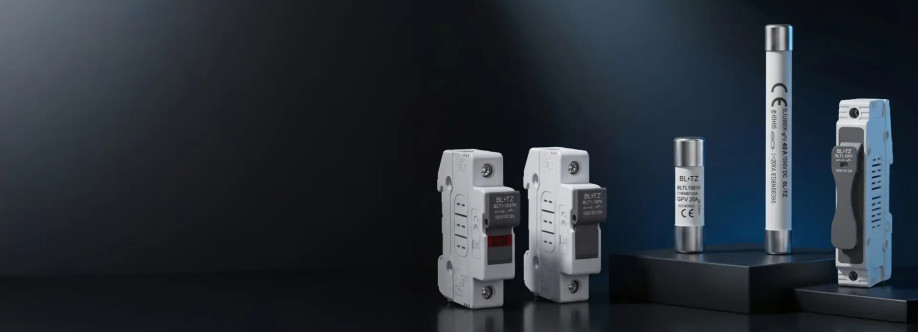 Blitz Energy India Cover Image