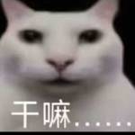 Compositemould Compositemould Profile Picture