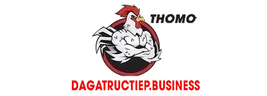 ĐÁ GÀ TRỰC TIẾP BUSINESS Cover Image