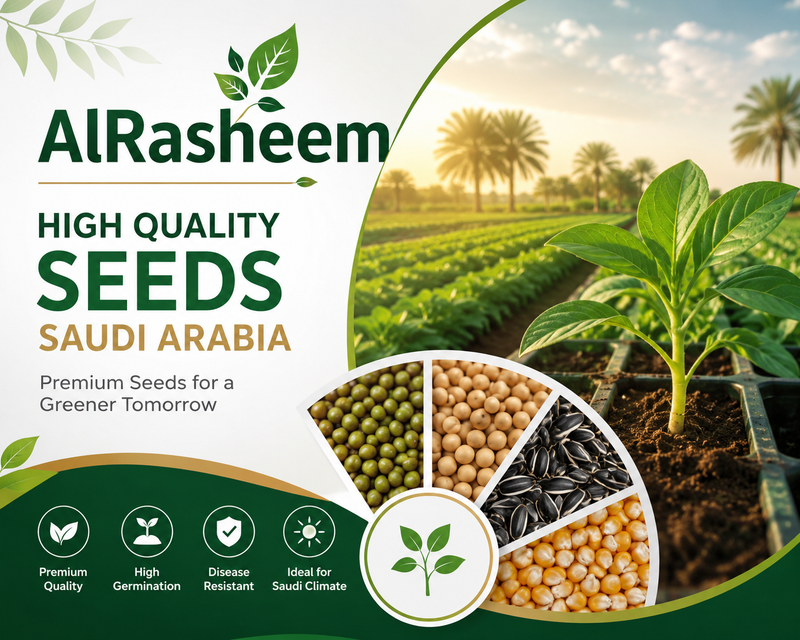 The Importance of High-Quality Seeds for Agriculture in Saudi Arabia...