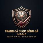 Trang Cá Cược Bóng Đá Profile Picture