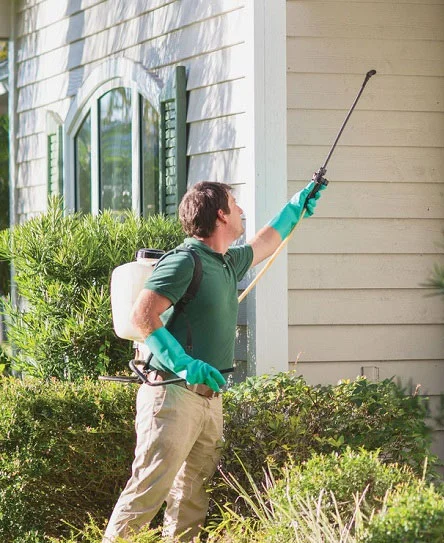 Best Home Pest Control Services in Topeka & Kansas City - Little Game Hunters