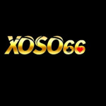 Xoso66z net Profile Picture