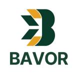 BAVOR CONSULTING Profile Picture