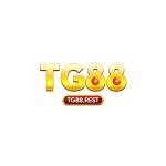 TG88 Com Profile Picture