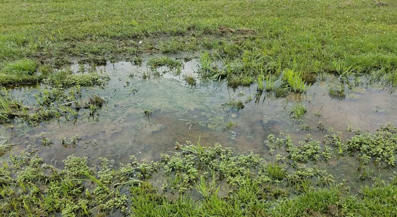 Benefits of Subsurface Drainage Systems