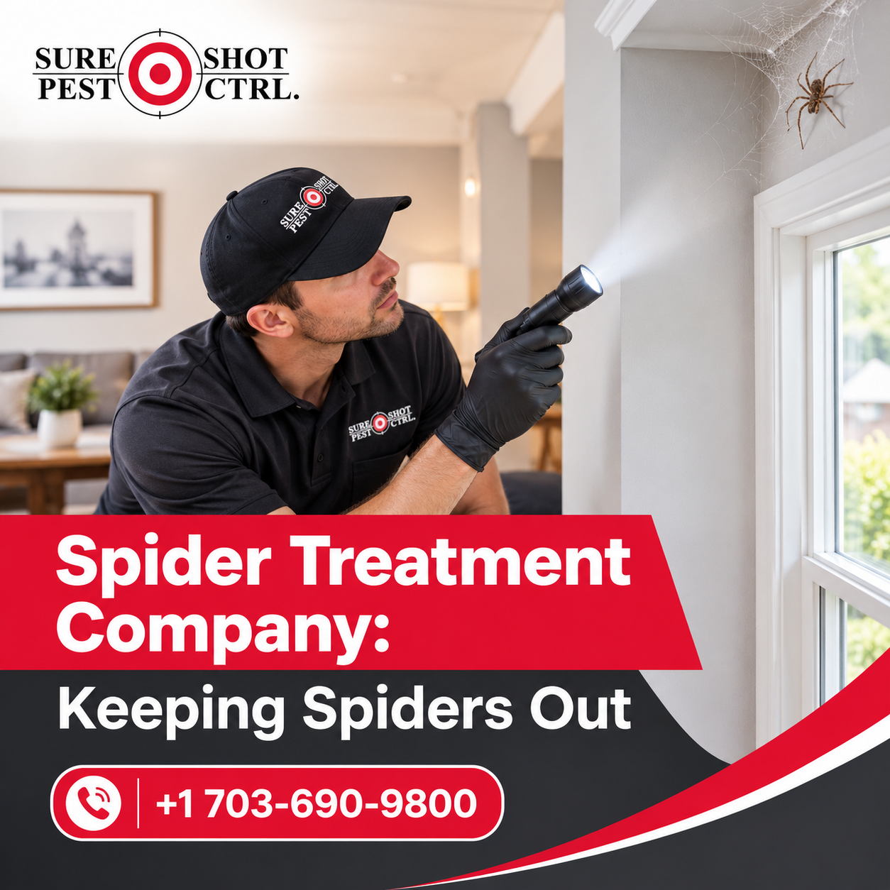 Spider Treatment Company Keeping Spiders Out
