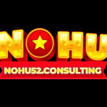 Nohu52 consulting Profile Picture