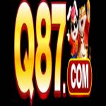 q87 Profile Picture