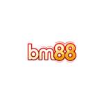 BM88 Profile Picture