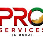 Pro services in dubai Profile Picture