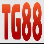 TG88 Profile Picture