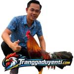 Trại gà Duyên Ti Profile Picture