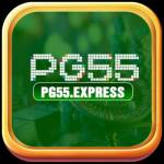 pgfive express Profile Picture