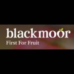 Blackmoor Nurseries Profile Picture