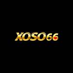 Xoso 66 Profile Picture