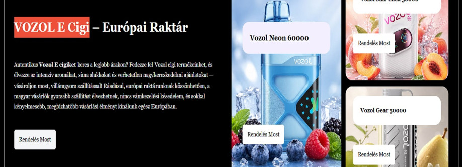 VOZOL E Cigi Cover Image