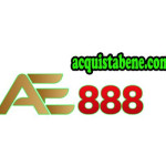 AE888 ACQUI Profile Picture
