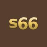 S66 Vietnam Online Profile Picture
