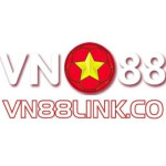 VN88 Profile Picture