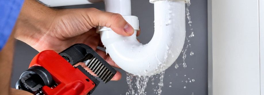 Livonia Plumbing Services Cover Image