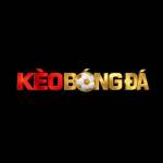 Tỷ Lệ Kèo Bóng Đá Profile Picture