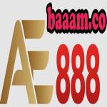 AE888 BAAAM Profile Picture