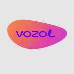 Vozol Vape Profile Picture