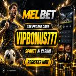 melbet bonus code Profile Picture