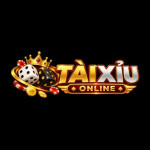 Cobacbiptaixiu com Profile Picture