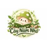Cây Nấm Nhỏ Profile Picture