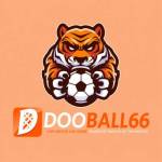 dooball66futbol Profile Picture