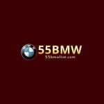 55BMW Profile Picture