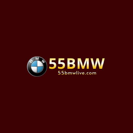 55BMW Profile Picture