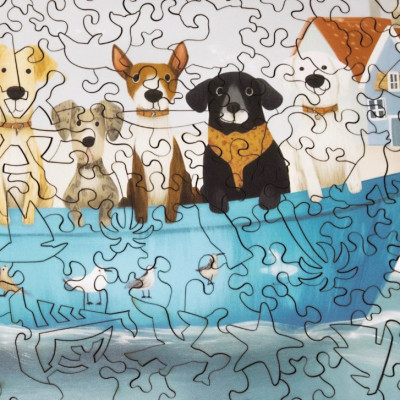 Scenic Themes and Puzzles with 300 Pieces for All Skill Levels Profile Picture