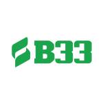 B33 Profile Picture
