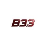 B33 Profile Picture