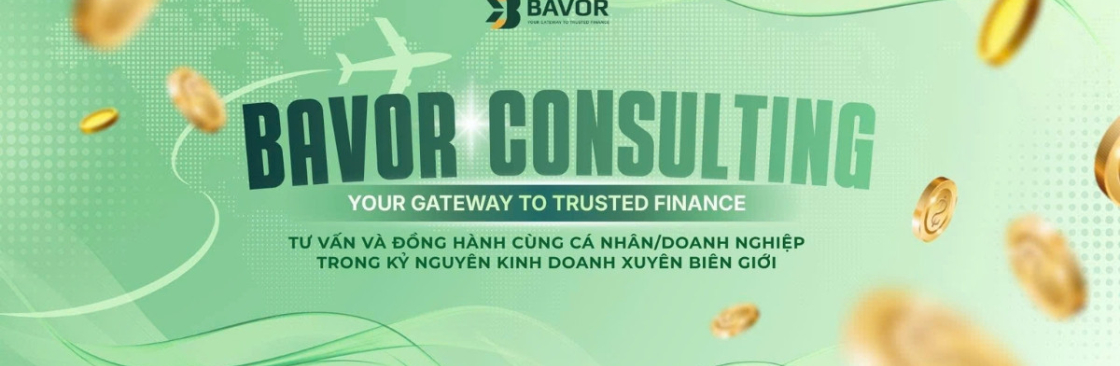 BAVOR CONSULTING Cover Image