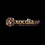 Xocdia tv Profile Picture