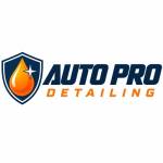 Auto Pro Detailing Profile Picture