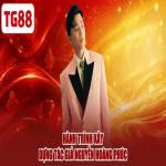 Nguyễn Hoàng Phúc Profile Picture