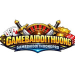 Gamebaidoithuongpro net Profile Picture
