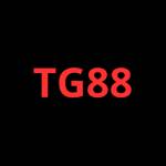 TG88 Profile Picture