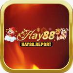 Hay88 report Profile Picture
