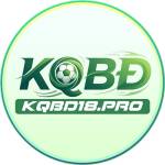 KQBD 18pro Profile Picture
